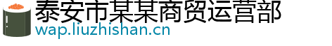 泰安市某某商贸运营部